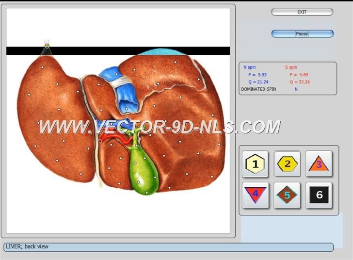 vector 8d 9d nls   software (14)