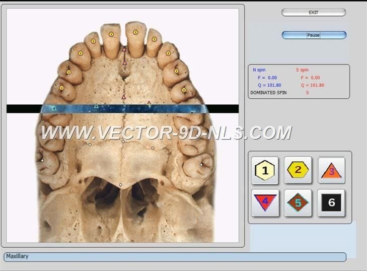 vector 8d 9d nls   software (16)