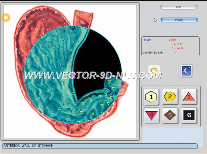 vector 8d 9d nls   software (22)