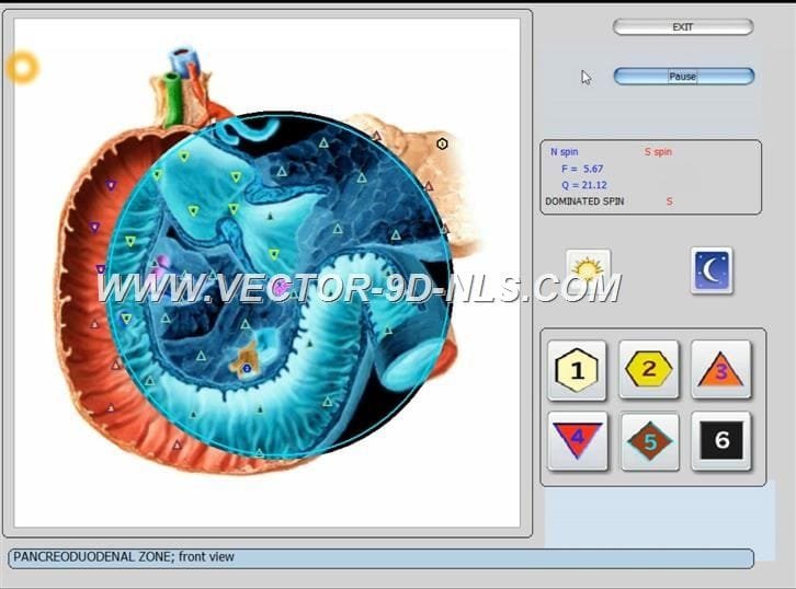 vector 8d 9d nls   software (28)