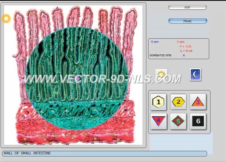 vector 8d 9d nls   software (36)