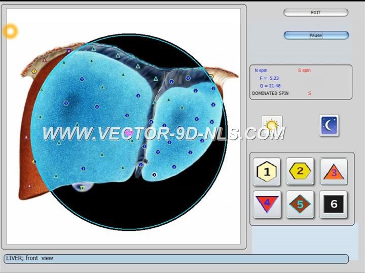 vector 8d 9d nls   software (45)