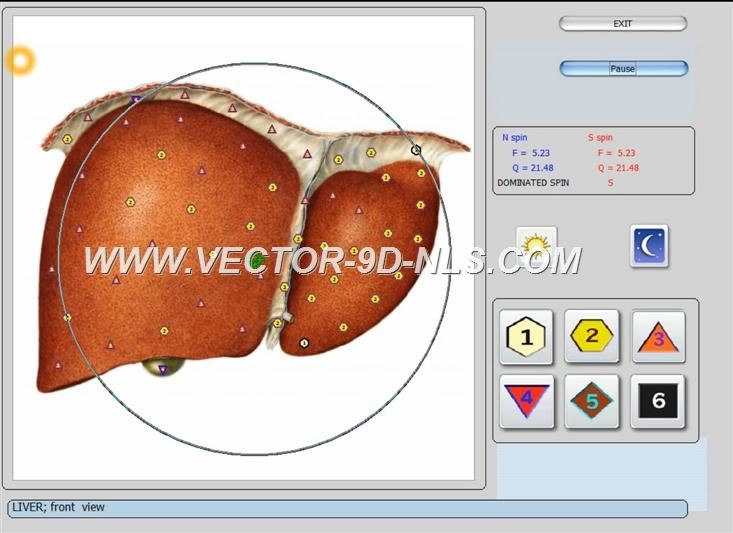 vector 8d 9d nls   software (46)