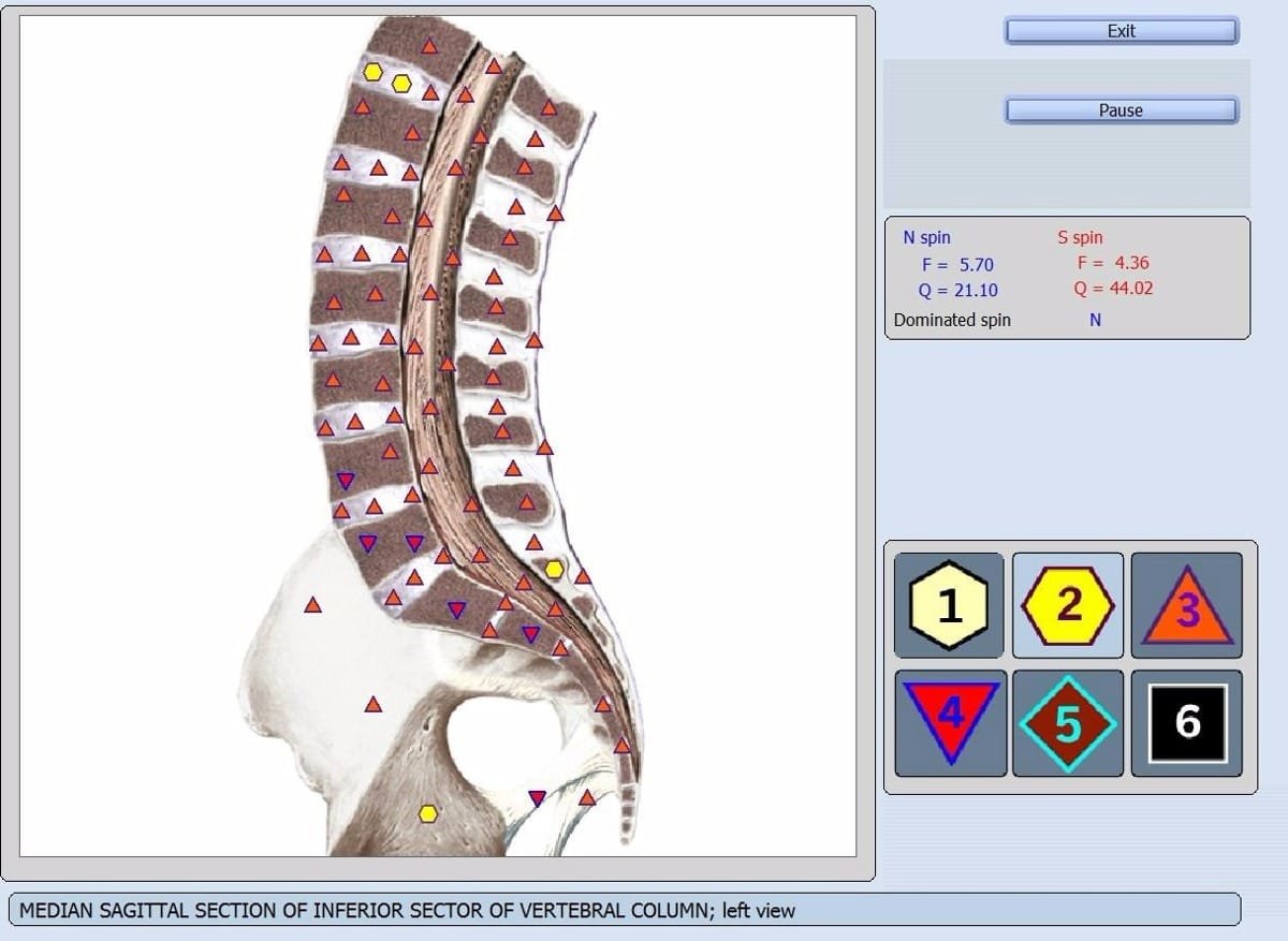 9d nls health analyzer manual pdf