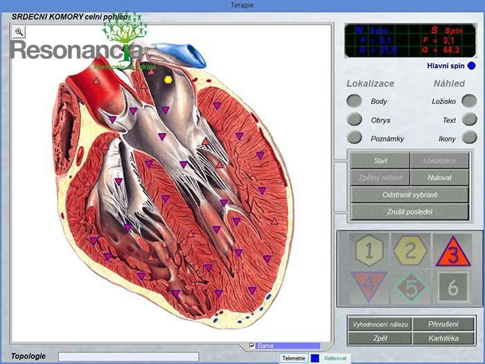 9d nls health analyzer