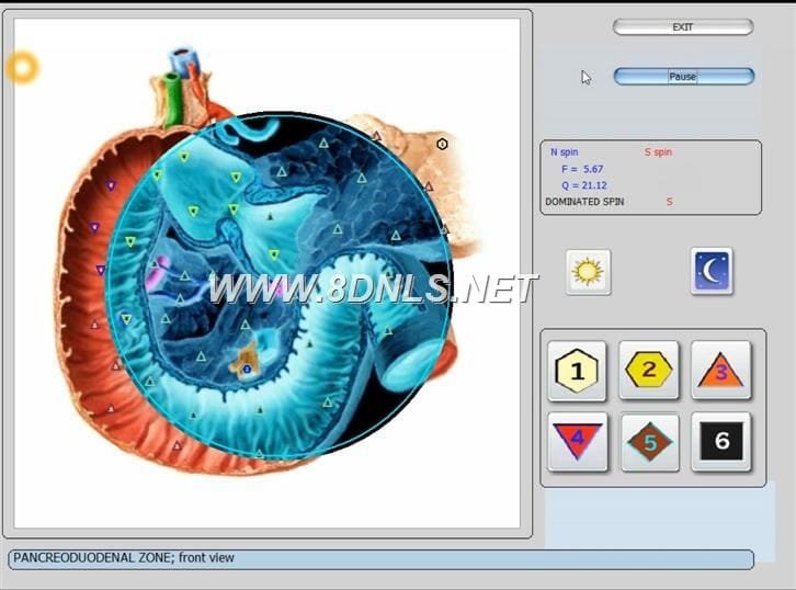 vector nls software