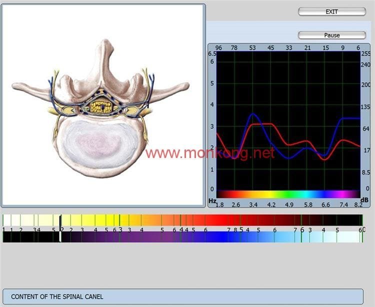 9d nls software