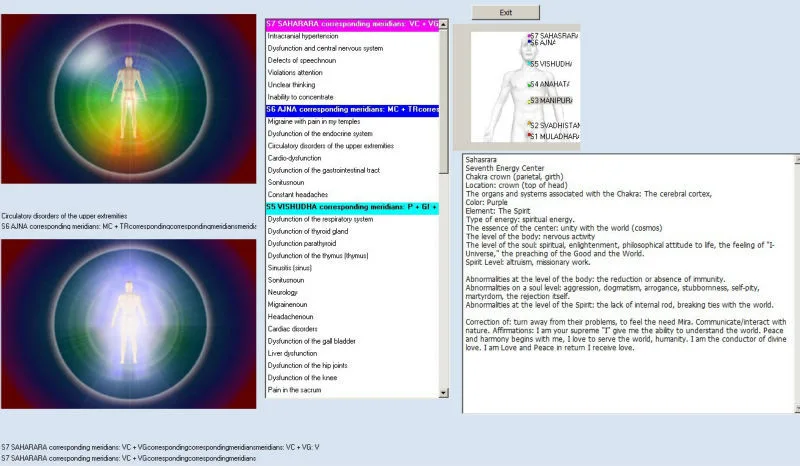 vector nls system analyzer