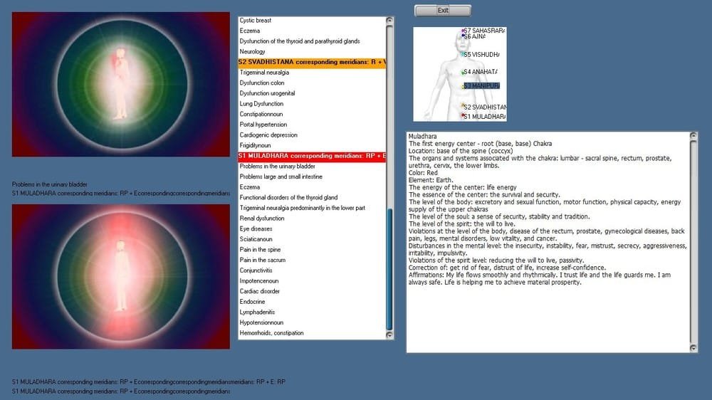 vector biofeedback