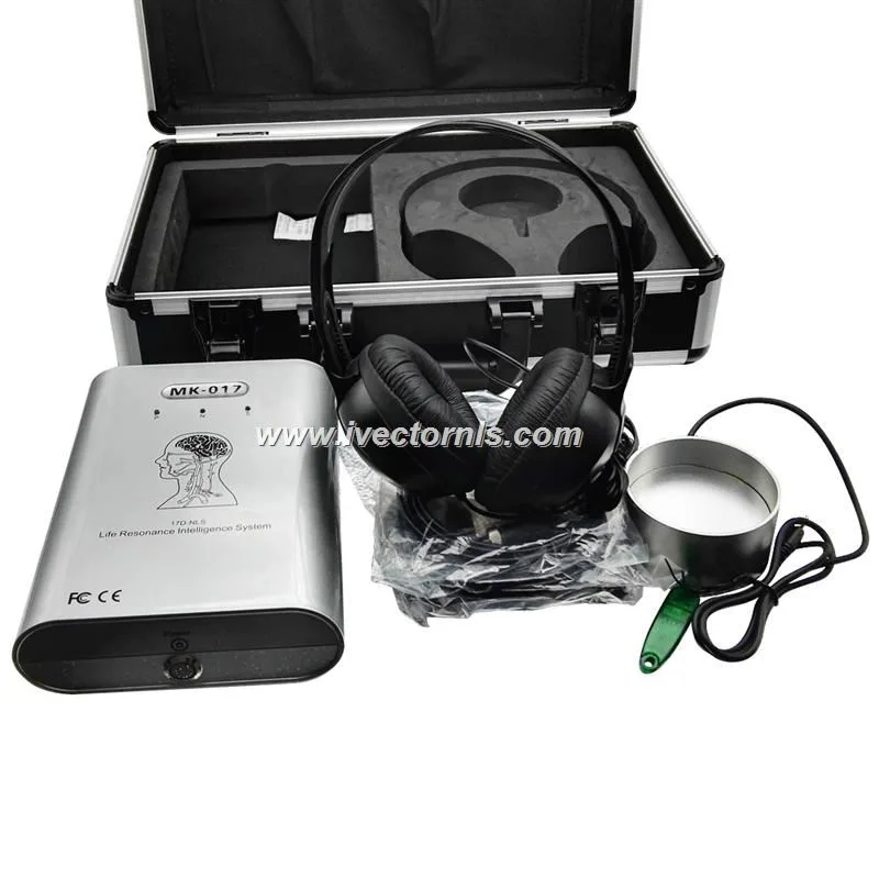 vector expert nls