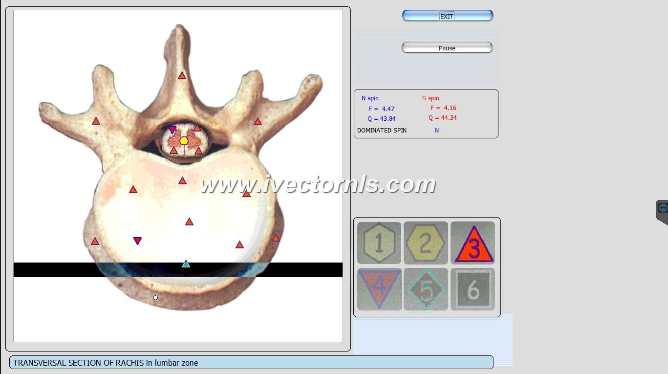 vector nls scan