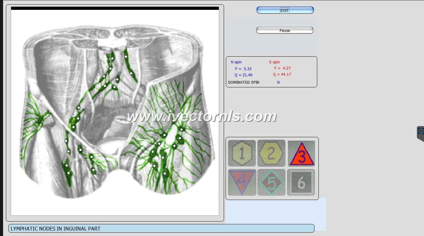 vector nls scan