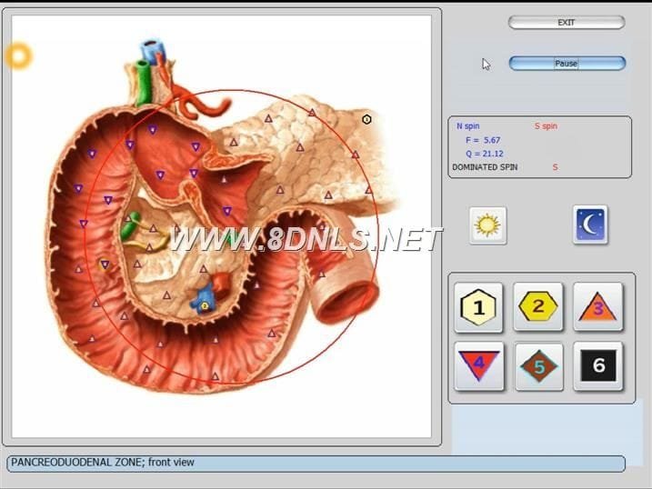 9D NLS Analyzer