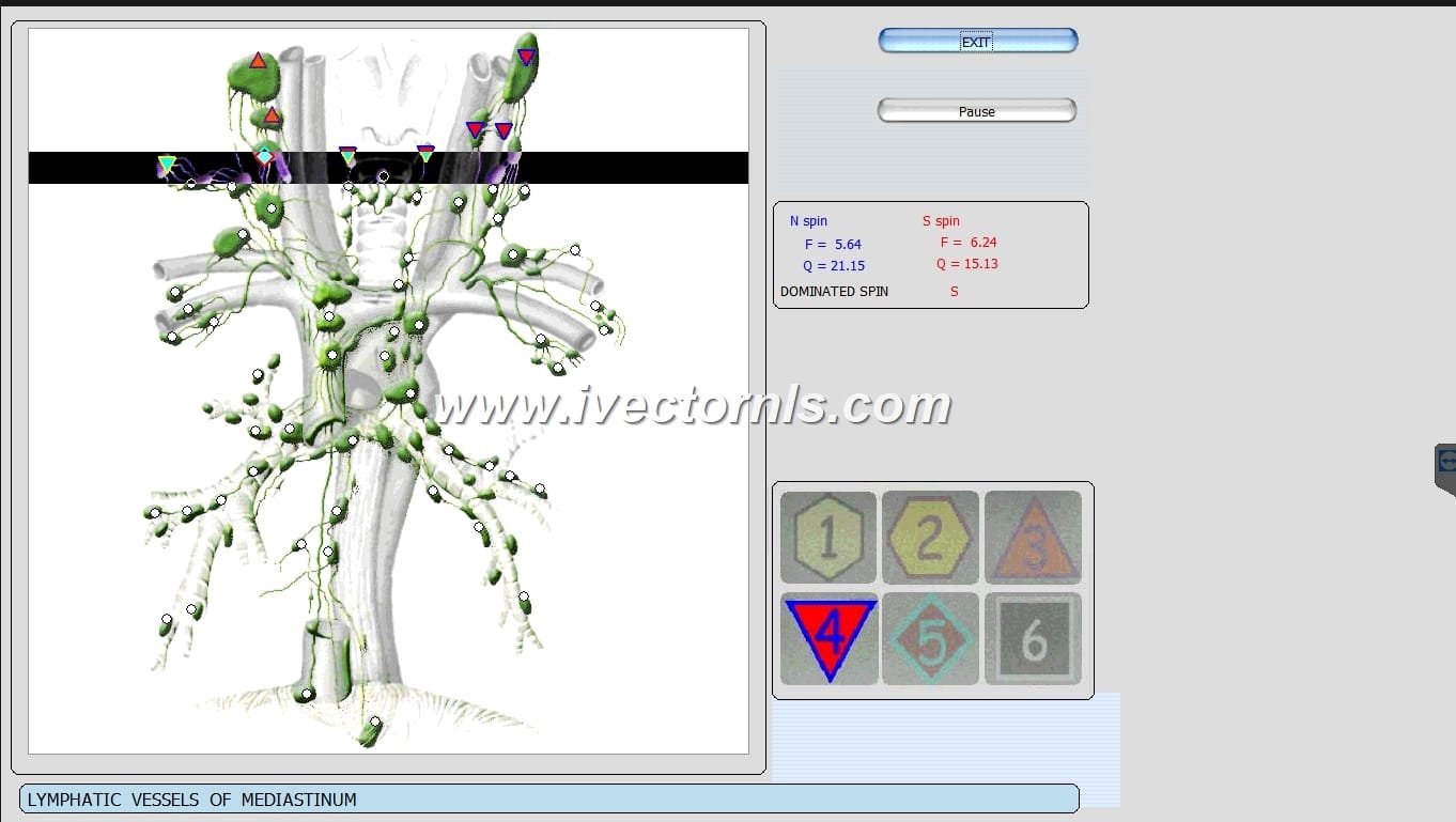 9d nls vector