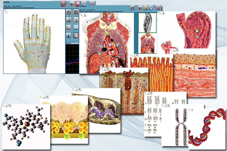 9d nls quantum health analyzer